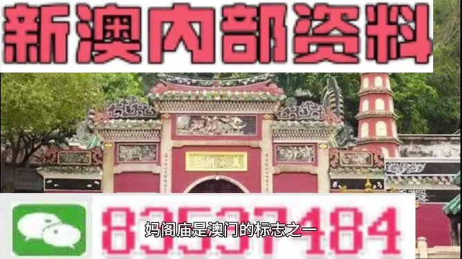新澳门最精准免费大全，详细解答、详细解答解释落实