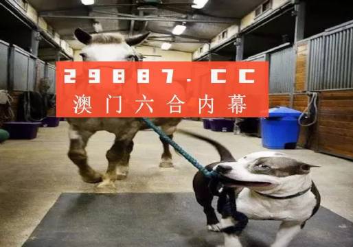 澳门必开一肖一码一中全面释义、全面解答解释落实